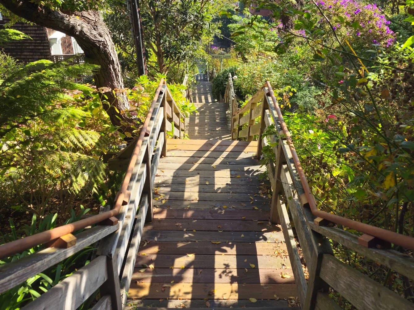 Filbert Steps